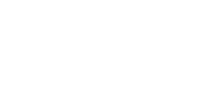 Fases creche e hotel para cães