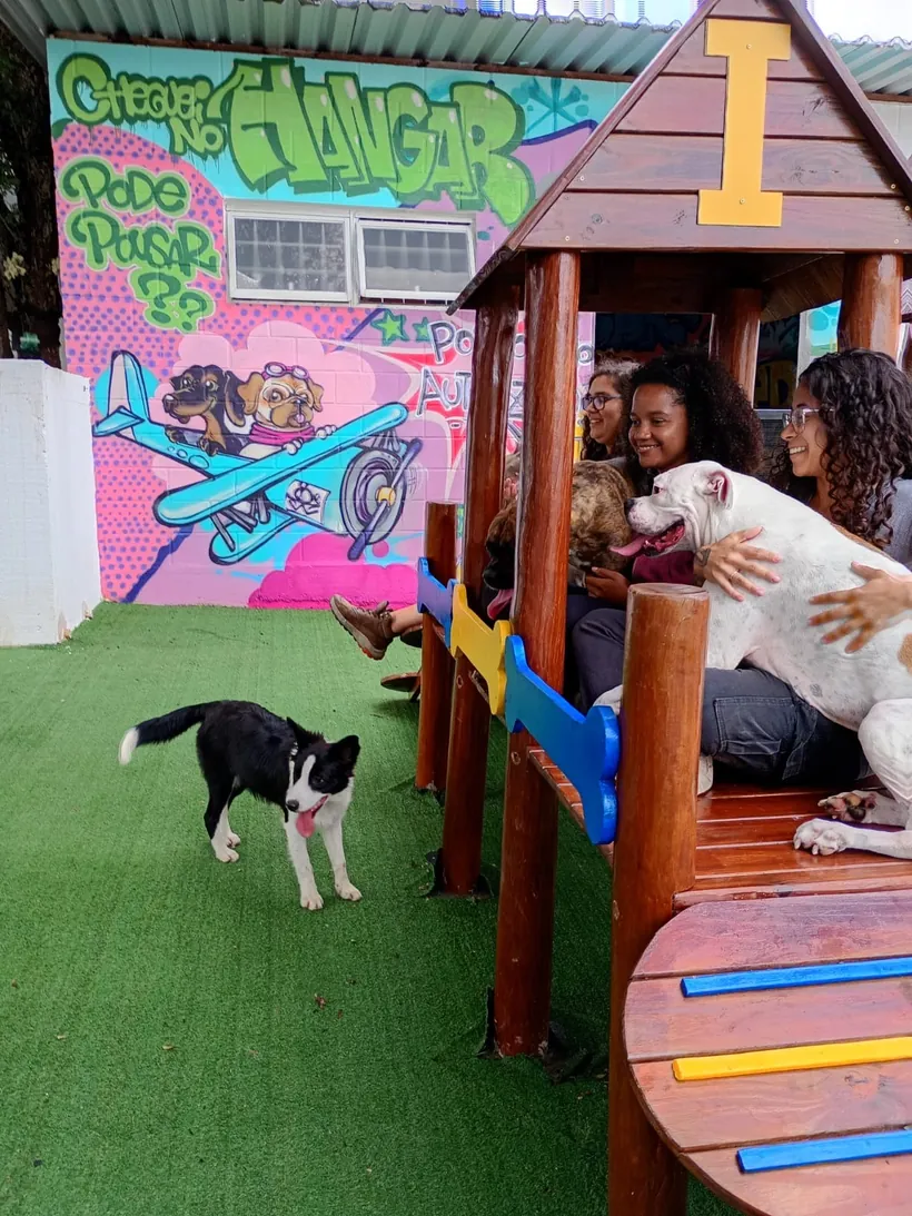 Equipe da Fases sentada na casinha do parque, com os cães no colo