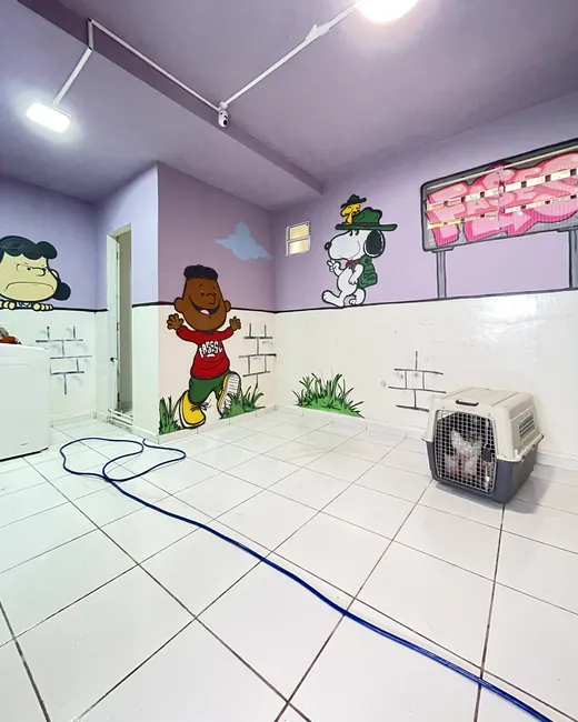 Quarto arejado, com caixa de transporte e mural