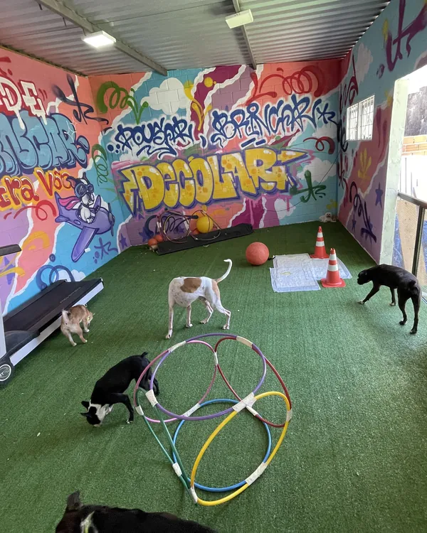 Sala coberta com esteira, bambolês e grafite colorido
