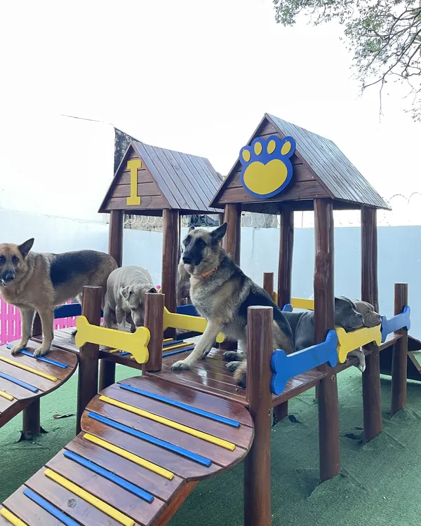 Pastores no alto das casinhas de madeira do parque