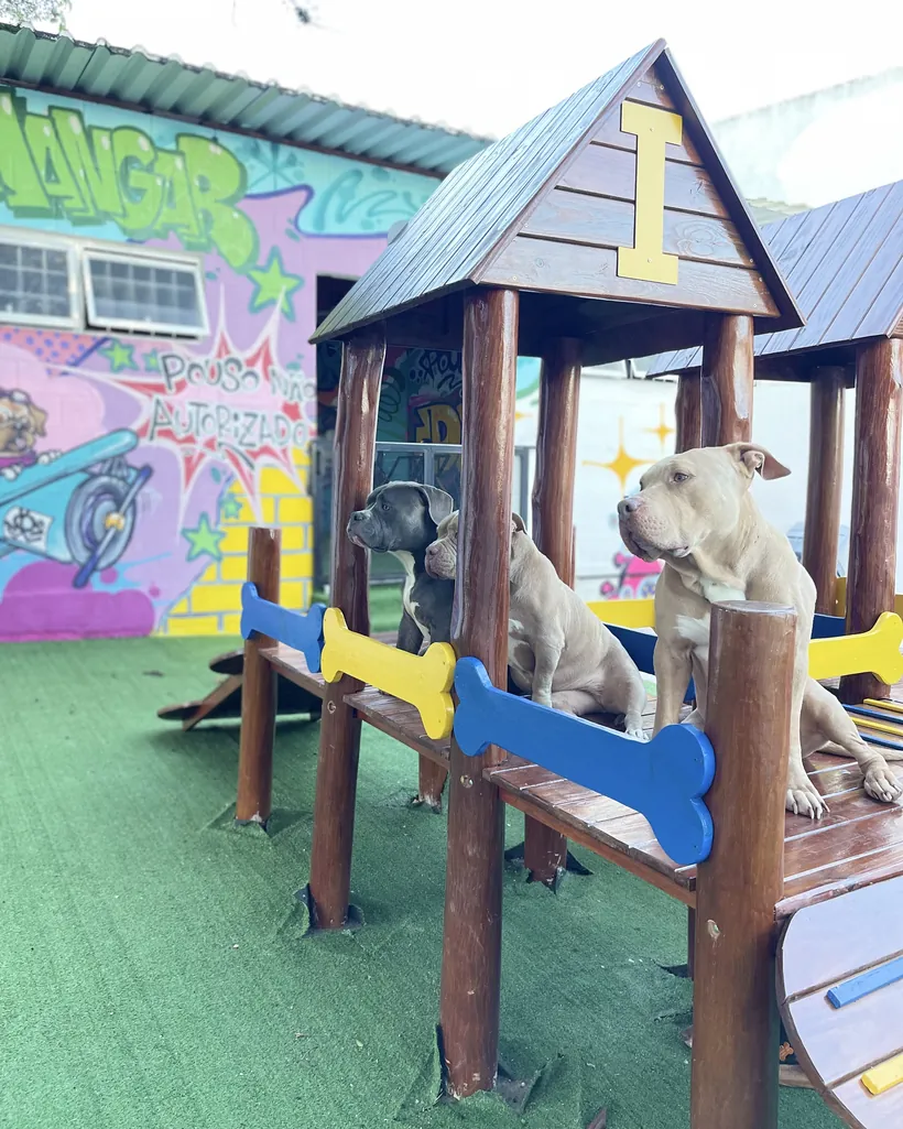 Cães descansando na casinha de madeira do parque